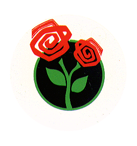 Petals Around the Rose