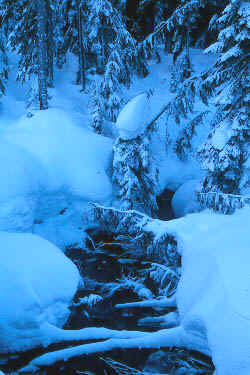 Frozen_Creek.jpg