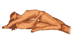 acrobatica.gif