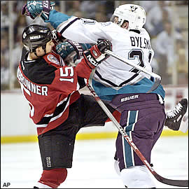 devils_ducks04.jpg