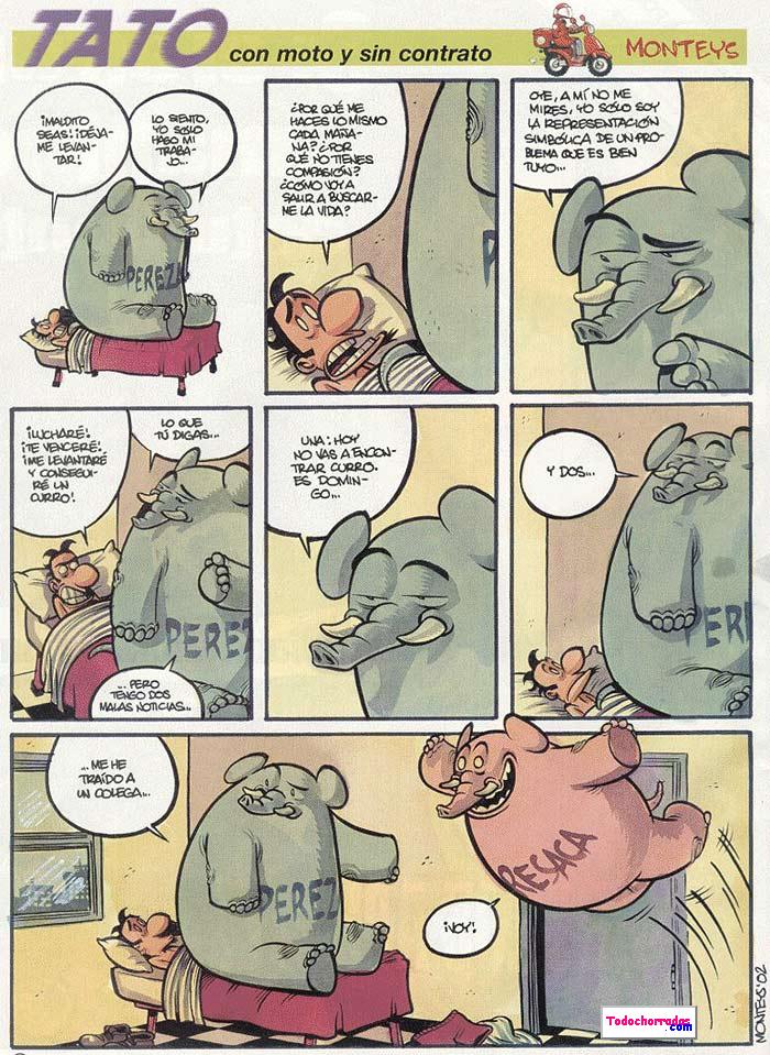 pereza.jpg