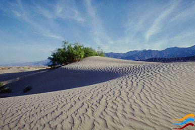 dunas.jpg