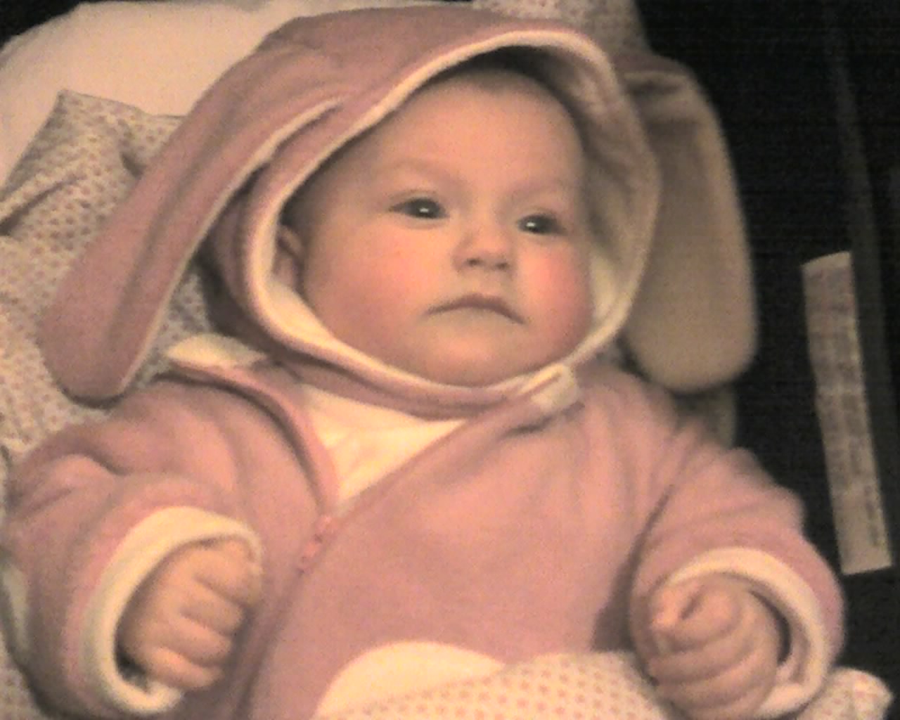 img188.jpg