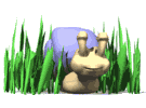 snail_looking_around_md_wht.gif