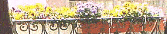 balcon.gif