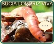 LOMBRIZ!.jpg