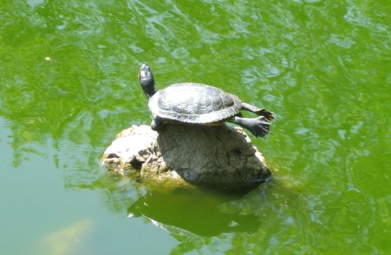 IMG_1653.jpg