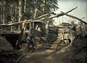 sap01_ca000503_p.jpg