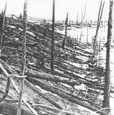 tunguska.jpg