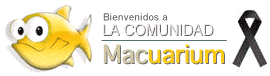 escritorio