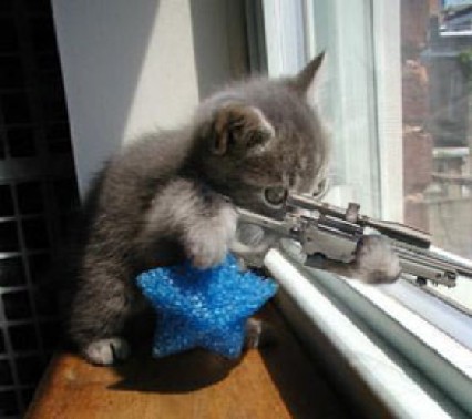 ClubSN_Humour_Sniper_Kitty.jpg