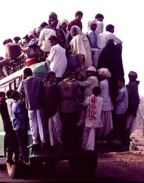 bus1.jpg