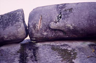 ba0031.jpg
