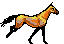 bayrun2.gif