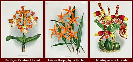 botanicalprints.jpg