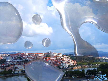 chovencoimbra.png