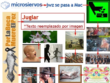collage.jpg