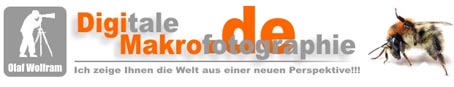 digitalmacro.jpg