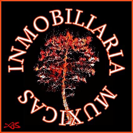 inmomuxicas2.jpg