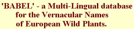 multilingual.jpg