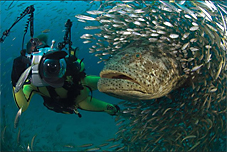 peixegrande.jpg