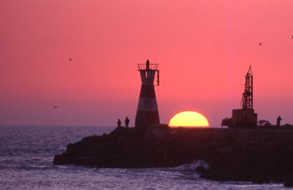 solporfigueira.jpg