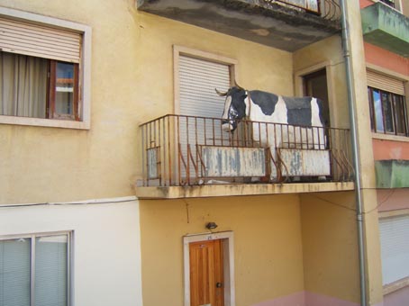 vacadasilhas.jpg