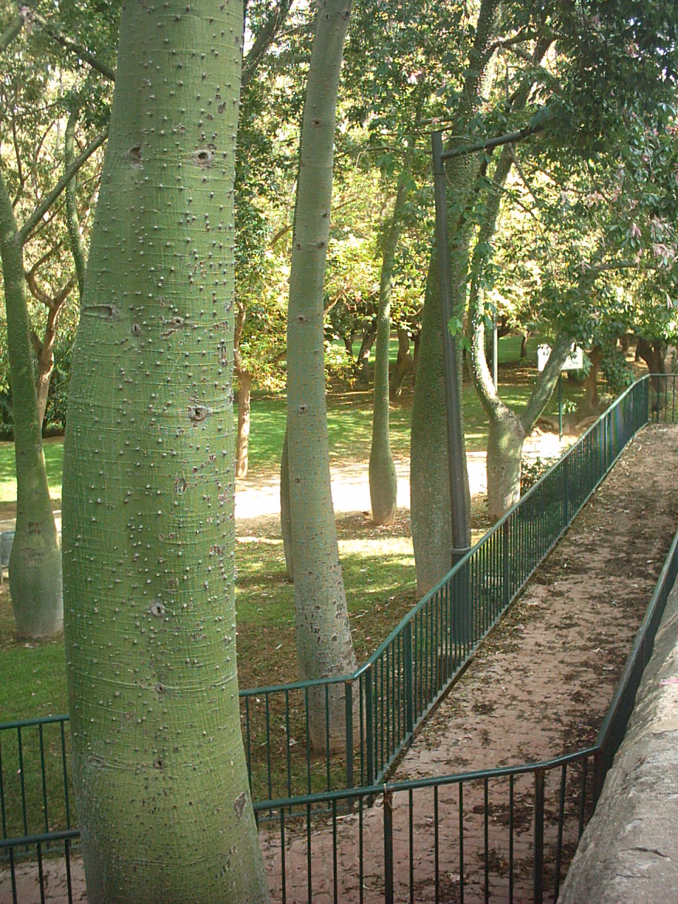 IMAG0025.JPG