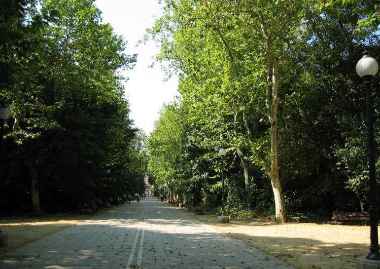 CampoGrande.jpg