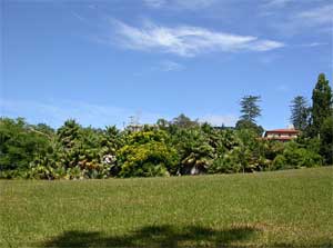 alberon_reserve_nz.jpg