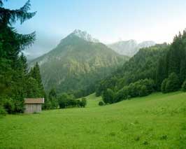 alpine.jpg