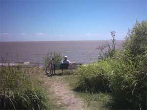 bicis_zen