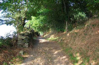 camino_primitivo_tineo.jpg