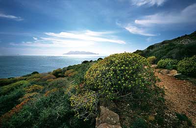 favignana_sicilia2.jpg
