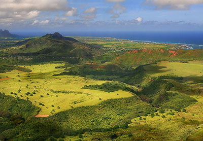 green_hawai.jpg