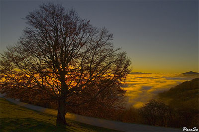 niebla_aralar.jpg