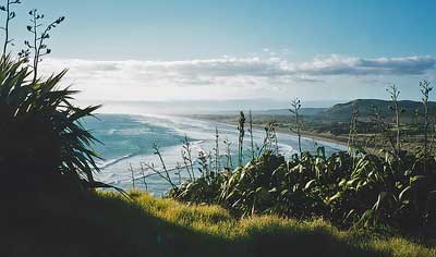 nz.jpg