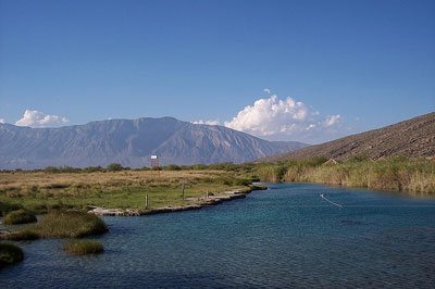 oasis_pozabecerra.jpg