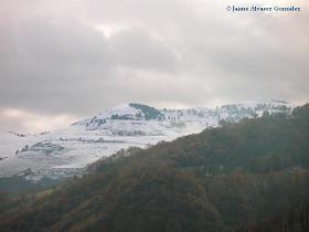 picu polio nevado
