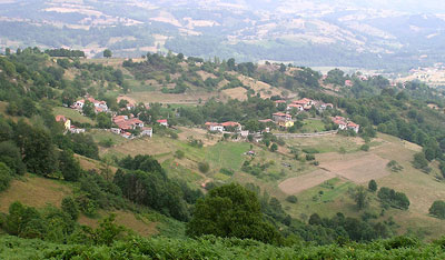 priede_pilona.jpg