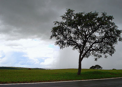 volviendo_a_saopaulo.jpg