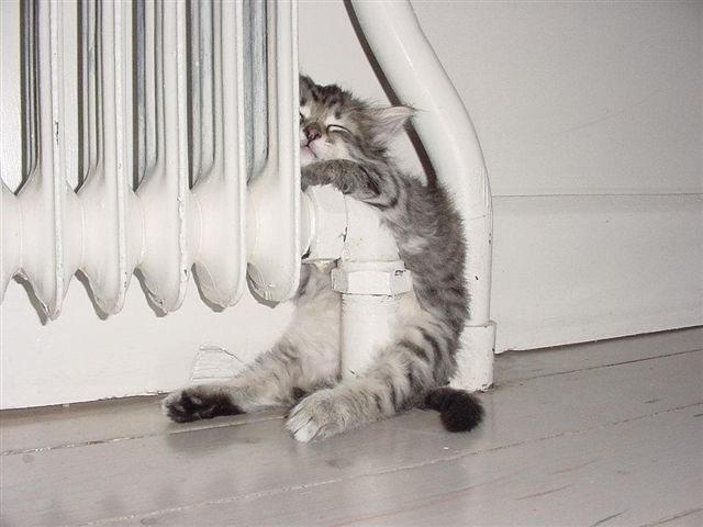 PoseChaude.jpg
