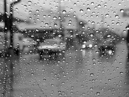 da_de_lluvia-2.jpg