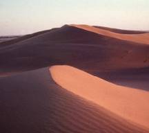 img_na_desierto.jpg