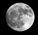 luna.jpg
