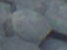 gigantes_th.jpg