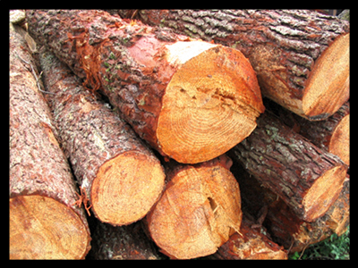 madera.jpg