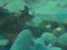 piedras_th.jpg