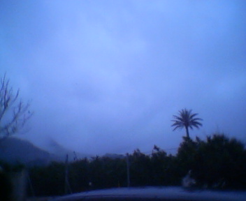 blau1.JPG