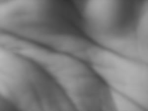 L�neas